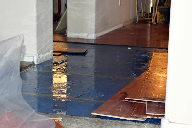 Professional Flood Damage Repair technician working in Argyle, MI